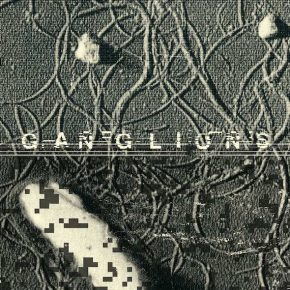 Gaudenz Badrutt - Ganglions LP Gaudenz Badrutt - Ganglions LP