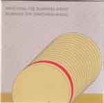 Mehr über den Artikel erfahren aatp62 — 2xCD — ASMUS TIETCHENS/TERRY BURROWS:  »Watching The Burning Bride / Burning The Watching Bride«
