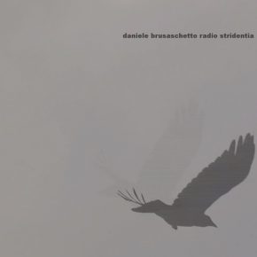 Daniele Brusaschetto - Radio Stridentia CD Daniele Brusaschetto - Radio Stridentia CD