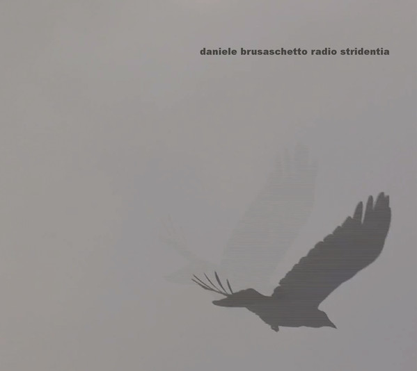 Read more about the article Daniele Brusaschetto – Radio Stridentia CD