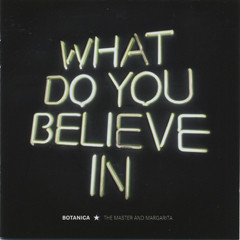 Read more about the article Botanica – What Do You Believe In CD