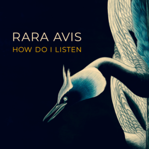 Read more about the article Rara Avis – How Do I Listen CD