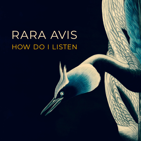 Read more about the article Rara Avis – How Do I Listen CD