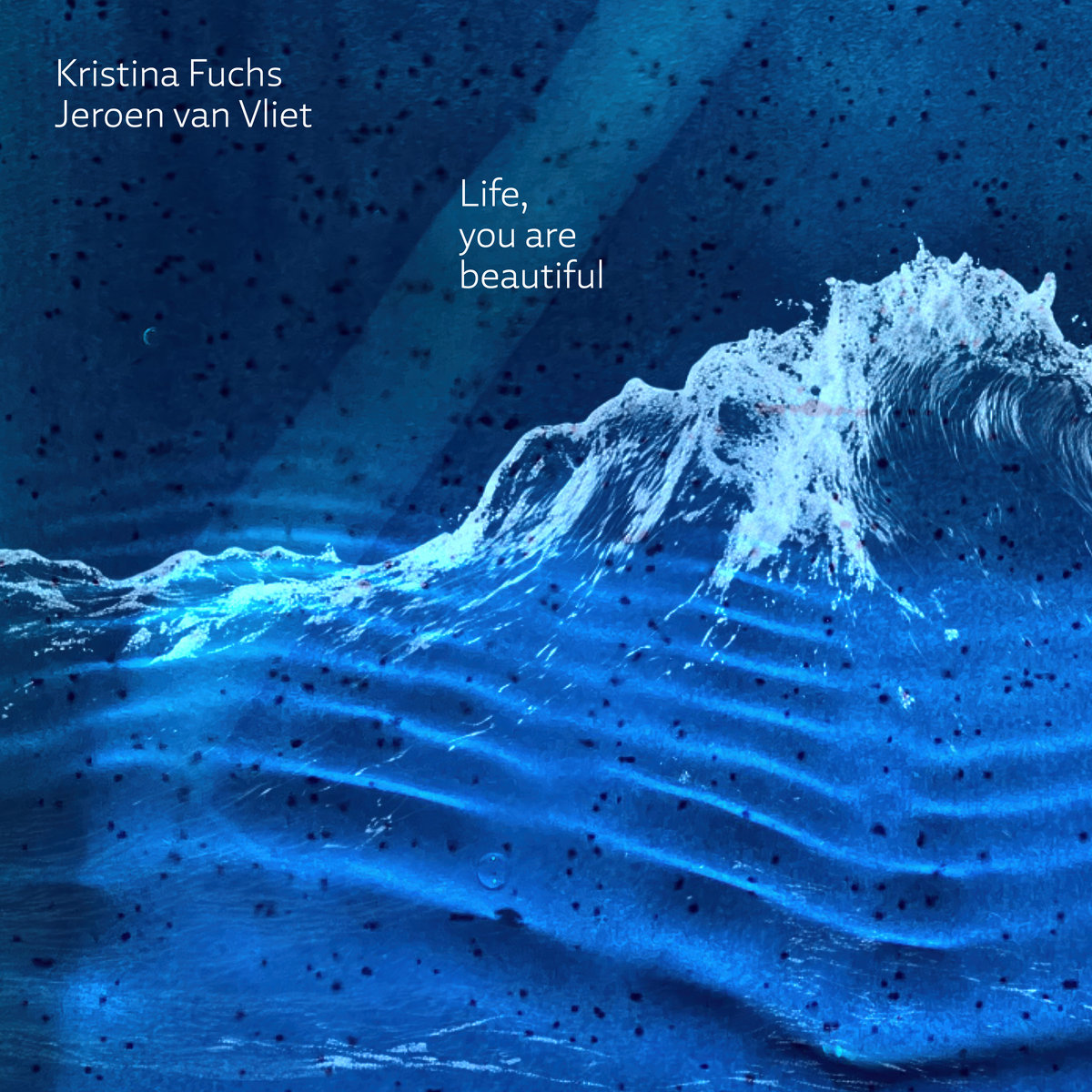 Du betrachtest gerade Kristina Fuchs/Jeroen van Vliet – Life, you are beautiful CD