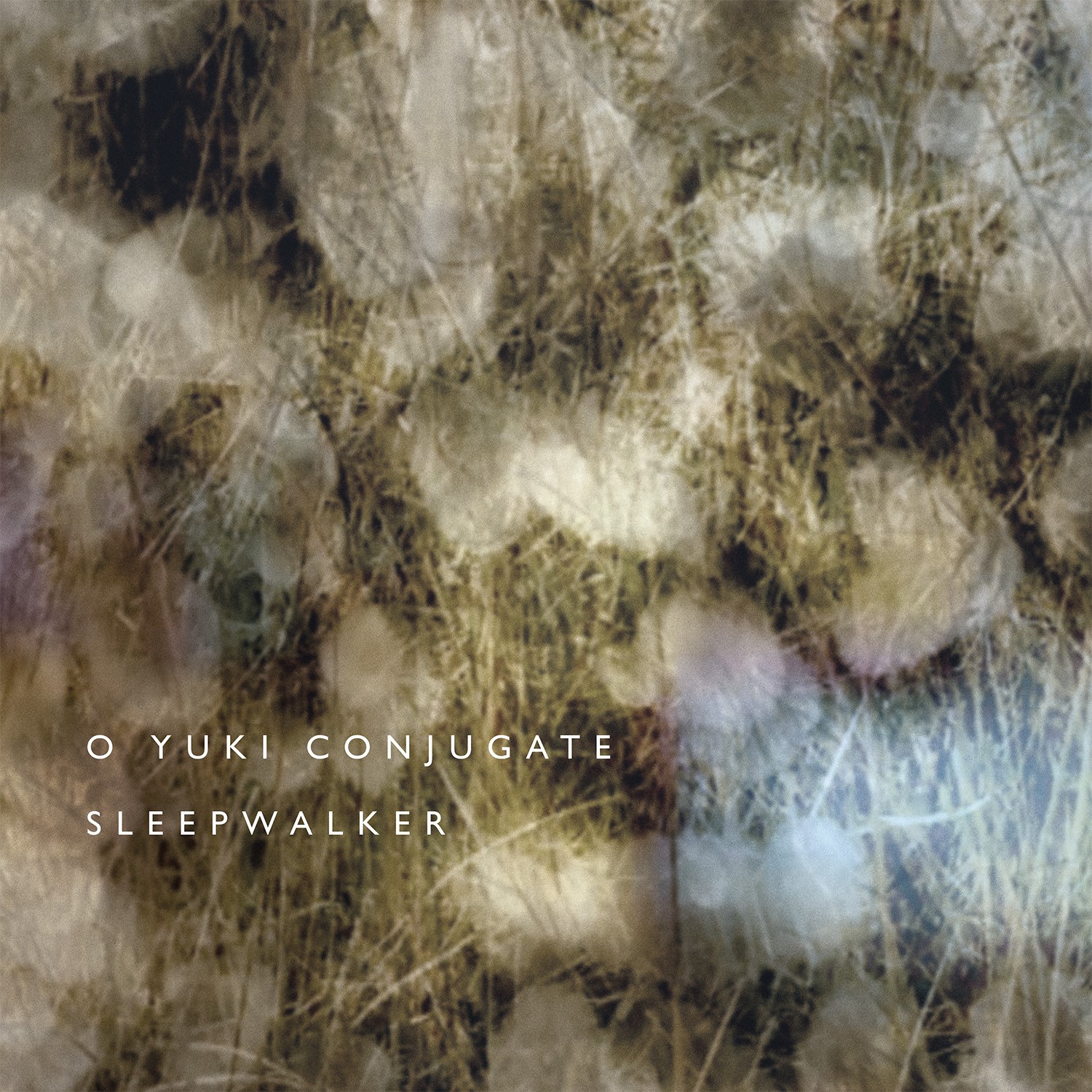 You are currently viewing New release: O Yuki Conjugate – Sleepwalker CD